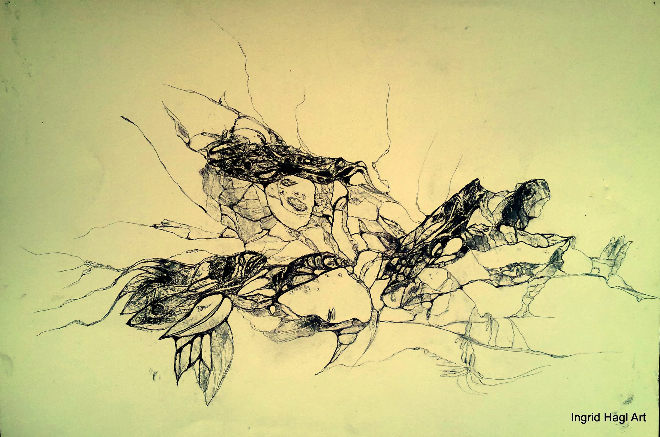 39-20150819_195027
