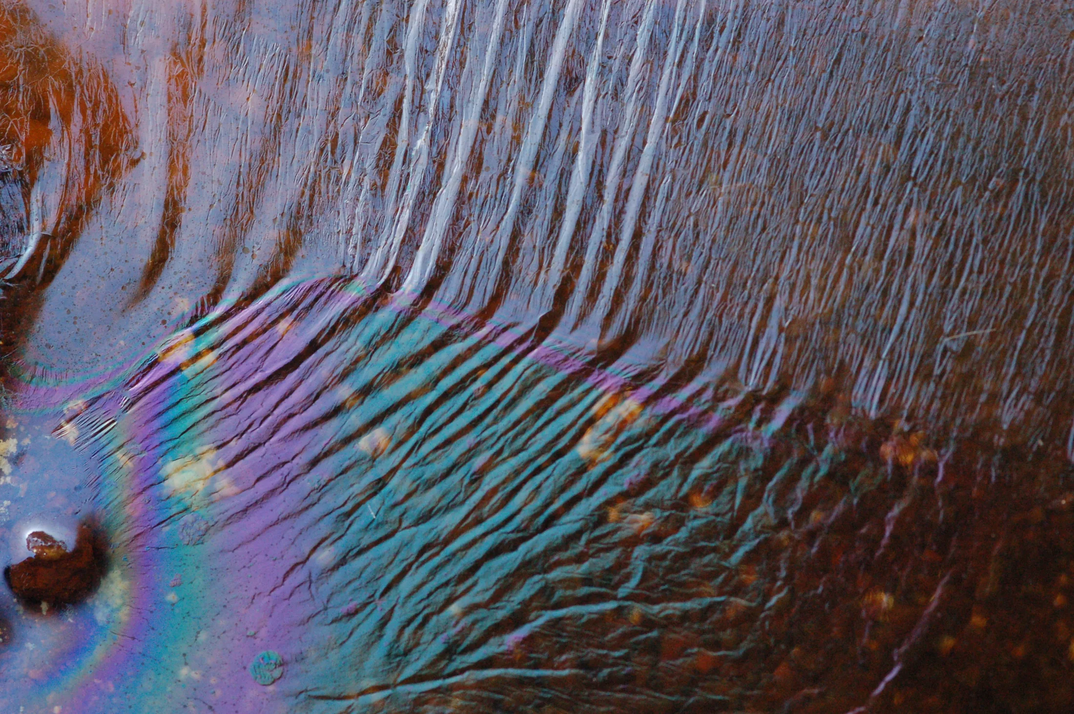 bakterien_verwandeln_mineralien_zu_öl_1