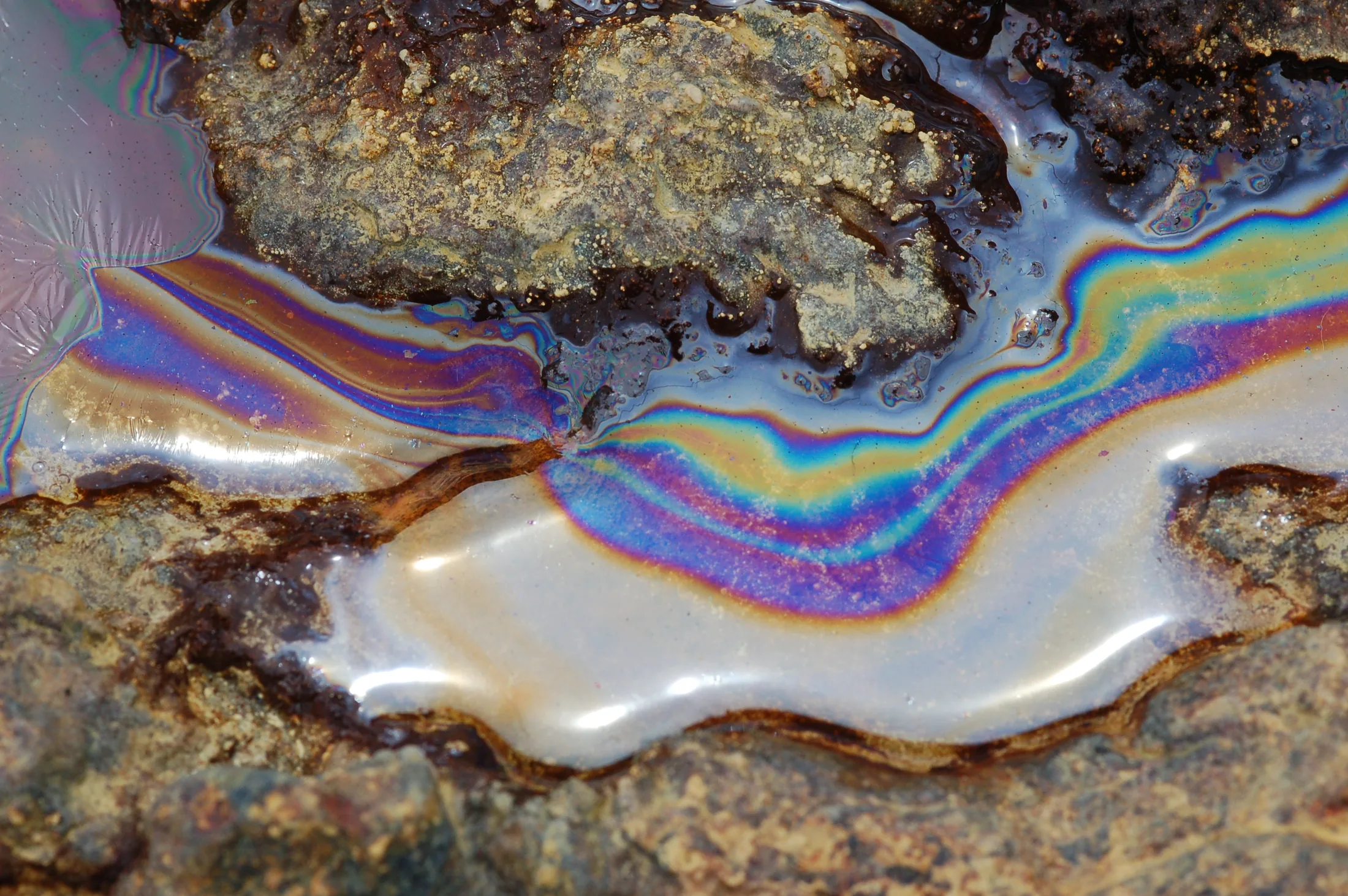 bakterien_verwandeln_mineraloen_zu_öl_3